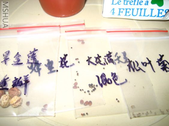 ��Ƭ 004_��С��С.jpg