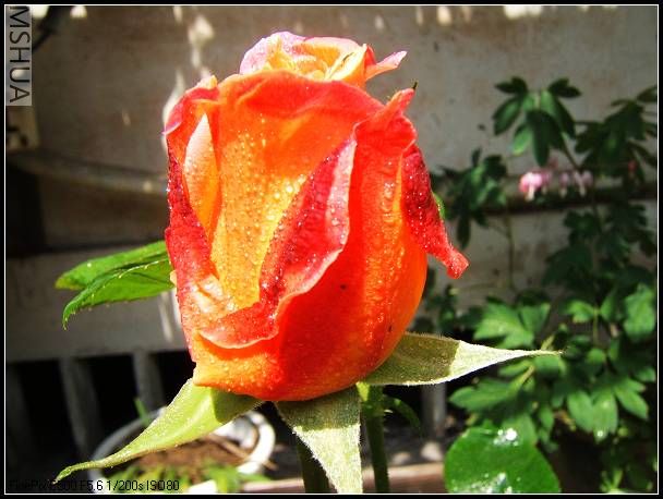��Ƭ 011.jpg