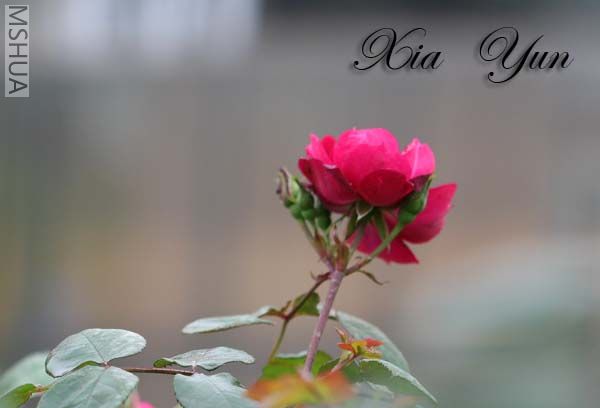 IMG_7314 ����.jpg