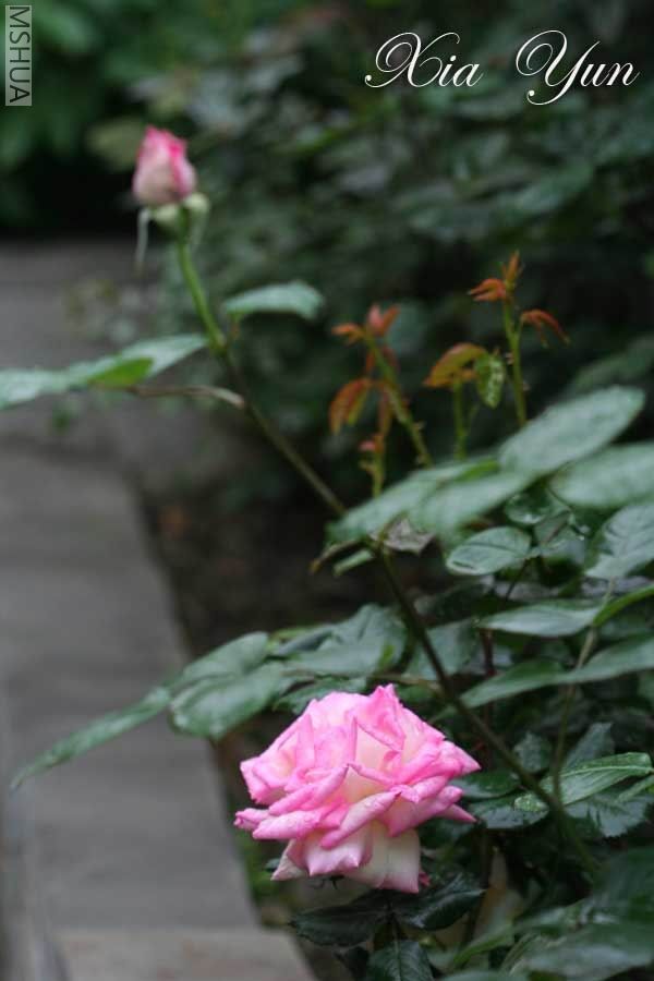 IMG_7304 ����.jpg