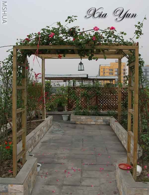 IMG_7320 ����s.jpg