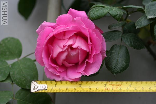 �뿪��ĵ���¼�