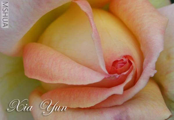 IMG_7416 ����.jpg