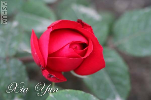 IMG_7404 ����.jpg