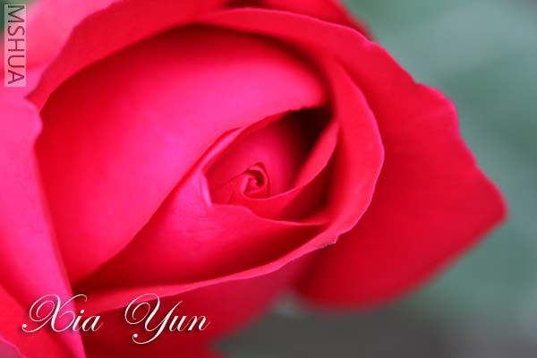 IMG_7412 ����.jpg