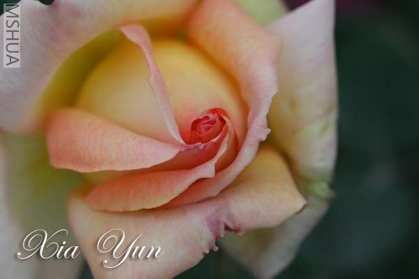 IMG_7421 ����.jpg