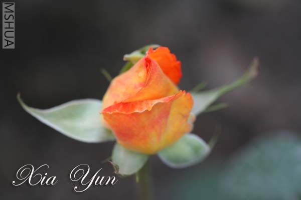 �������