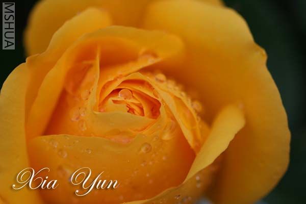 IMG_5238 ����.jpg