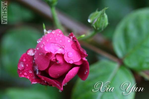 IMG_5256 ����.jpg