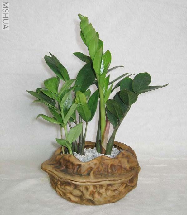 ��Ƭ070327 018_nEO_IMG.jpg