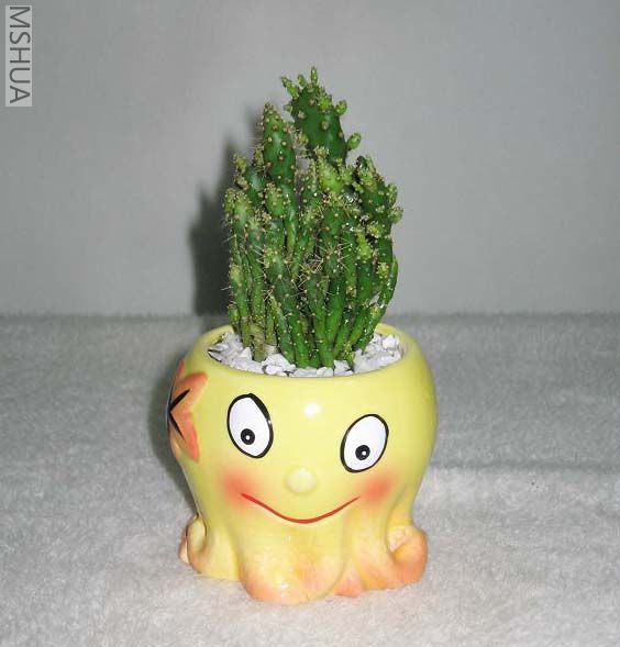 ��Ƭ070327 011_nEO_IMG.jpg