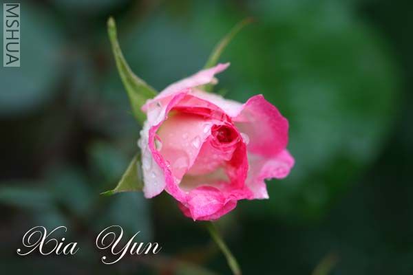 IMG_5248 ����.jpg