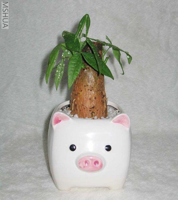 ��Ƭ070327 050_nEO_IMG.jpg