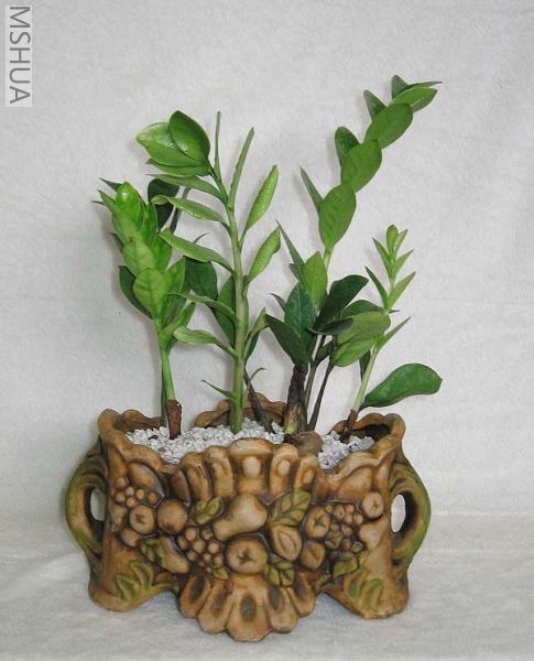 ��Ƭ070327 017_nEO_IMG.jpg