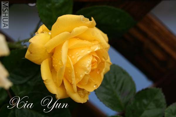 IMG_5236 ����.jpg