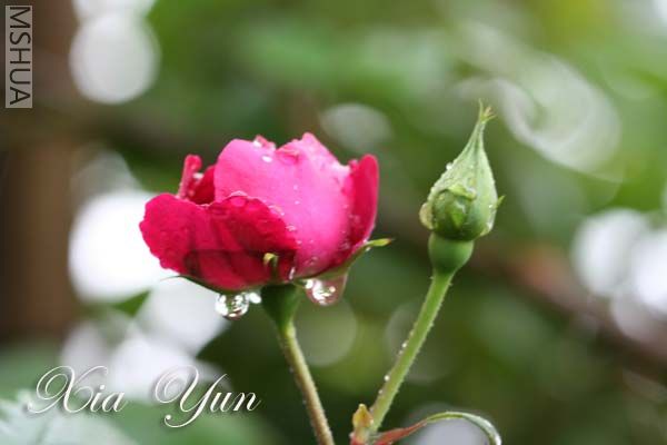 IMG_5244 ����.jpg