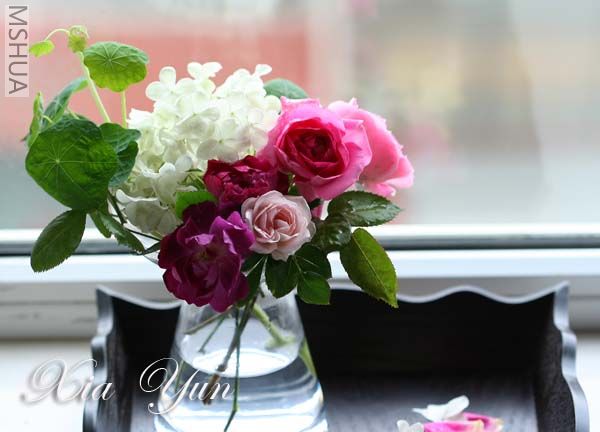 IMG_5269 ����.jpg