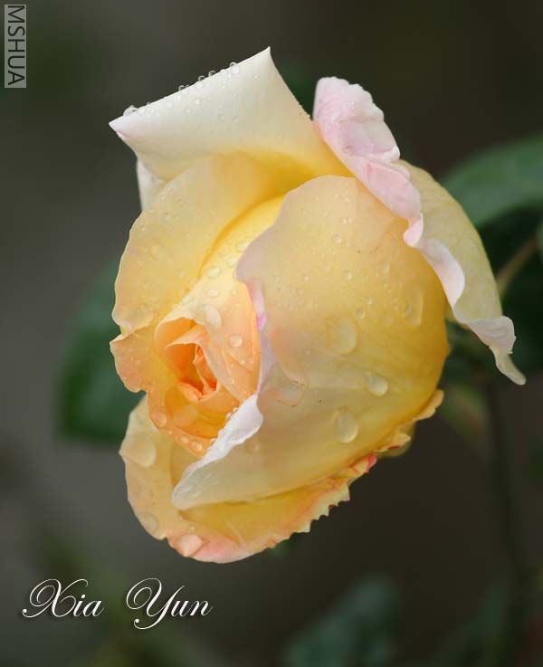 IMG_5294 ����.jpg