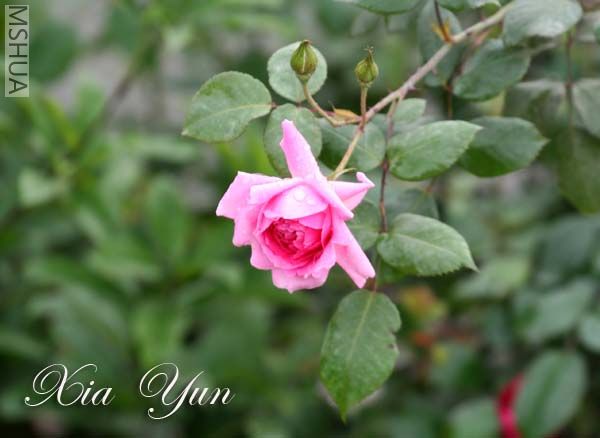 IMG_5295 ����.jpg