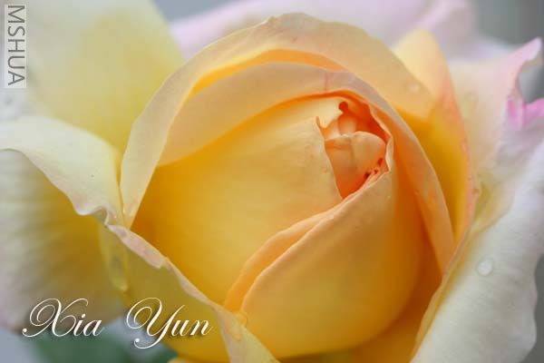 IMG_5315 ����.jpg