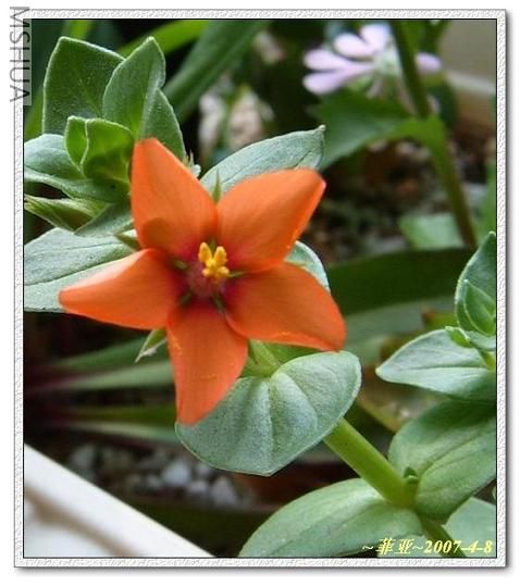 �����ǣ�