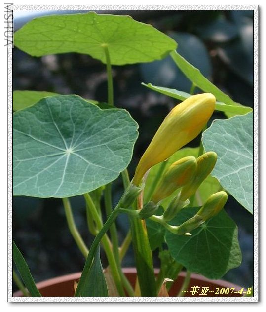 ���ݼҵ�С����