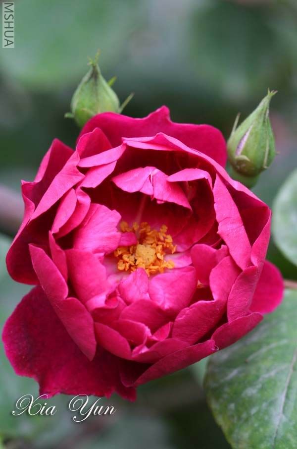 IMG_5726 ����s.jpg