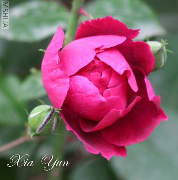 IMG_5727 ����.jpg