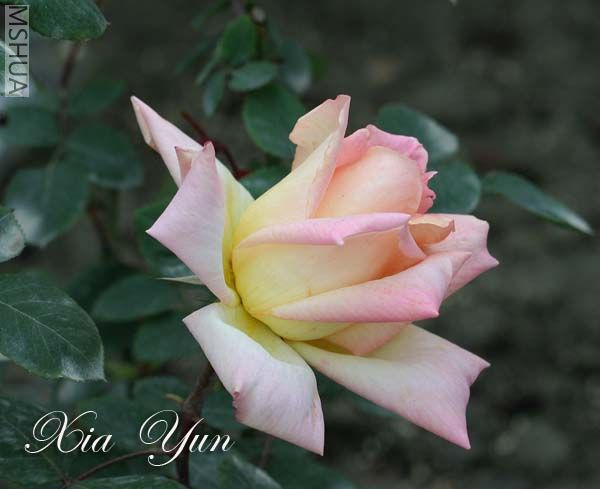 IMG_5758 ����.jpg