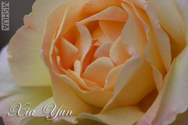 IMG_5744 ����.jpg