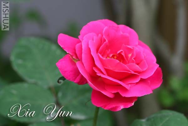 IMG_6167 ����.jpg