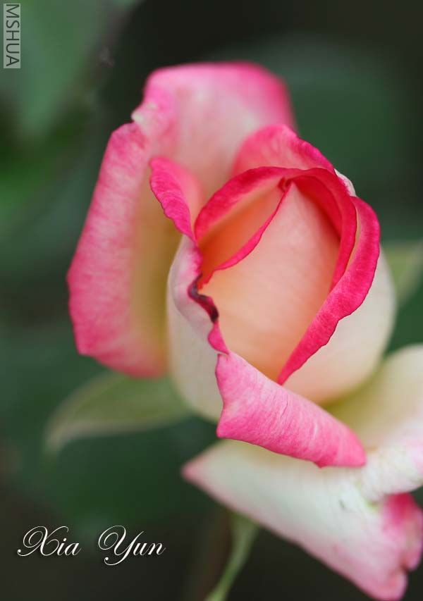 IMG_6176 ����.jpg