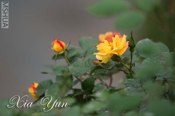 IMG_6209 ����.jpg