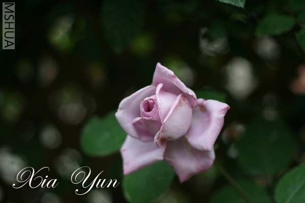 IMG_6257 ����.jpg