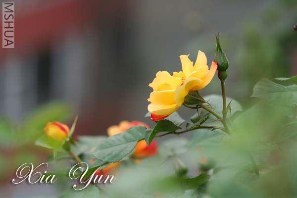 IMG_6225 ����.jpg