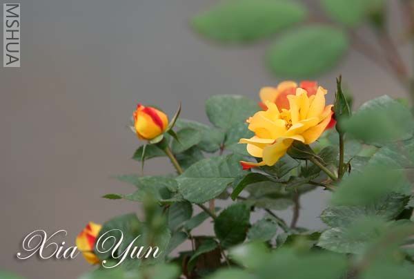 IMG_6210 ����.jpg