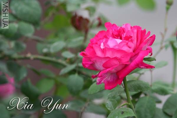 IMG_6206 ����.jpg