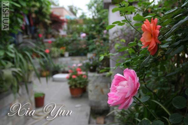 IMG_6201 ����.jpg