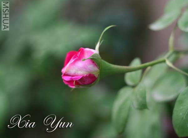 IMG_6326 ����.jpg