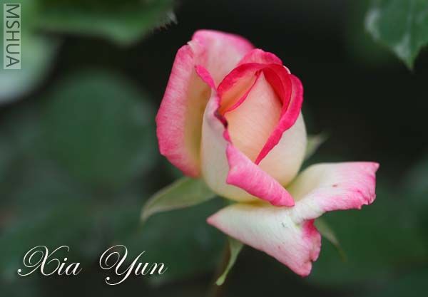 IMG_6177 ����.jpg