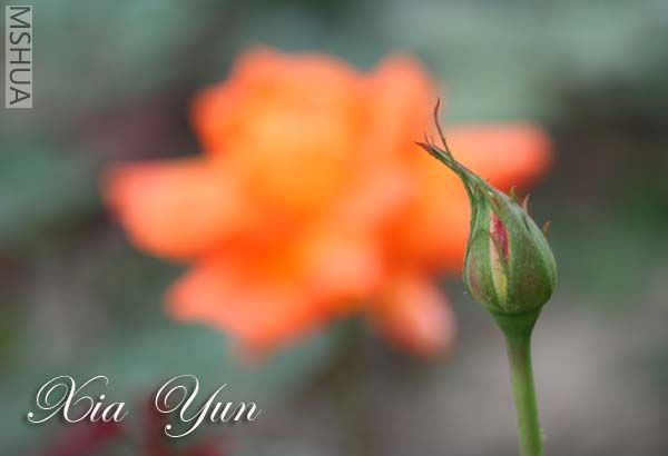 IMG_6174 ����.jpg