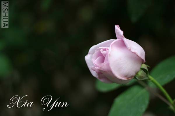 IMG_6307 ����.jpg