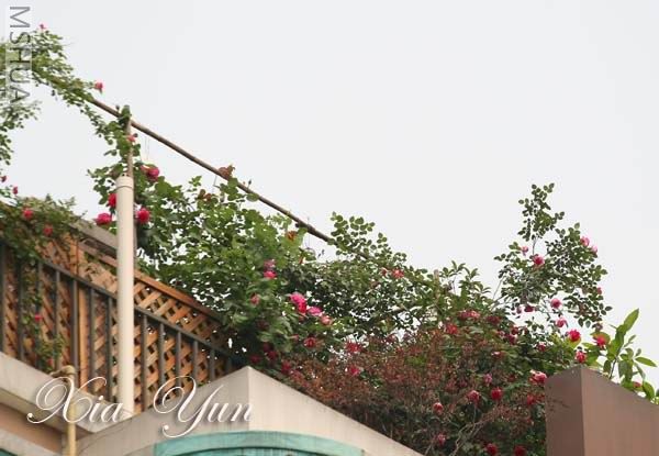 IMG_6368 ����s.jpg