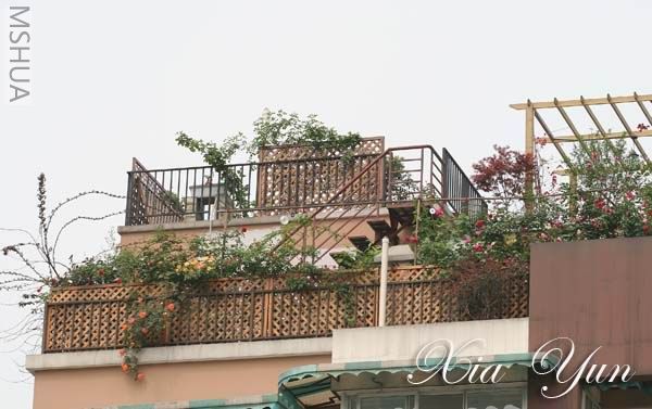 IMG_6259 ����s.jpg