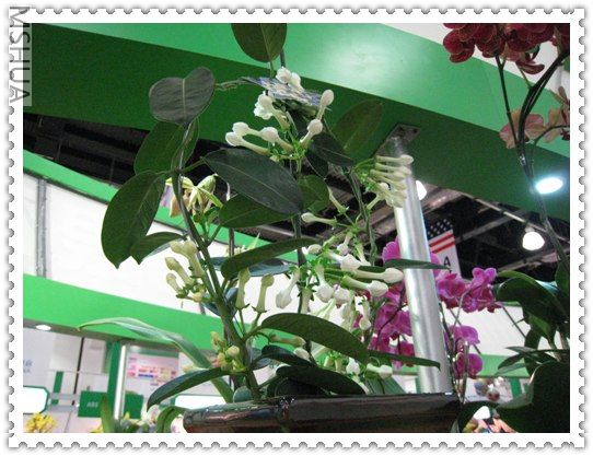 work-023.jpg