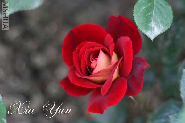 IMG_6423 ����.jpg