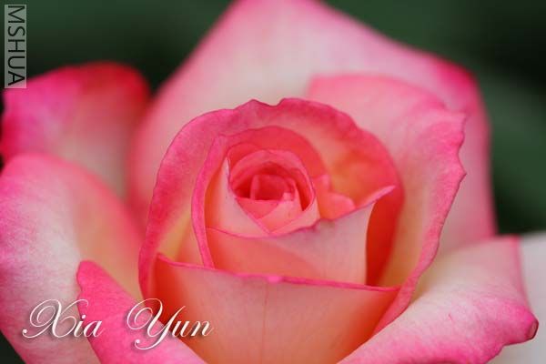 IMG_6519 ����.jpg