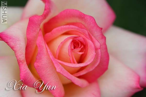 IMG_6521 ����.jpg