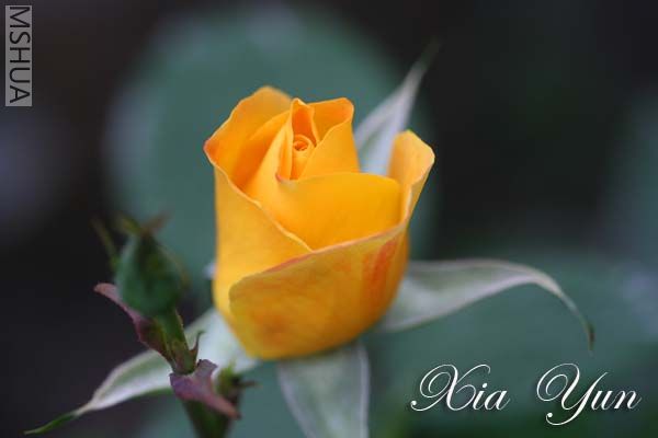 ��֪�����¼�