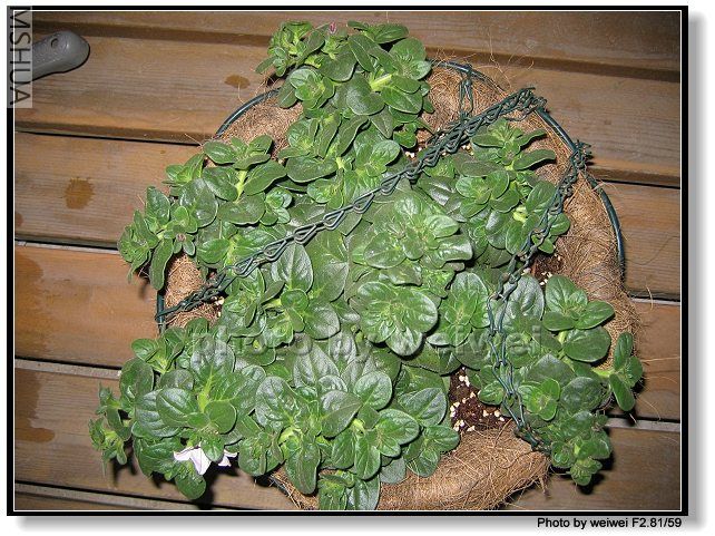 ���Ͽ�,�Ѿ��������������ˡ�